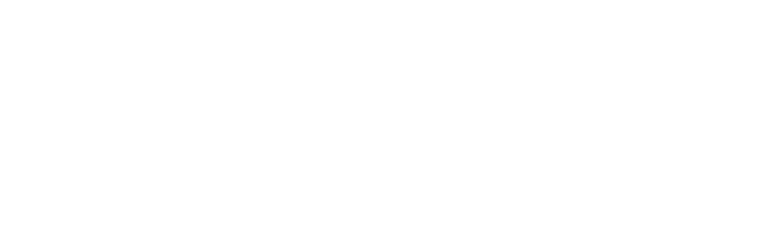 Mobile Techs